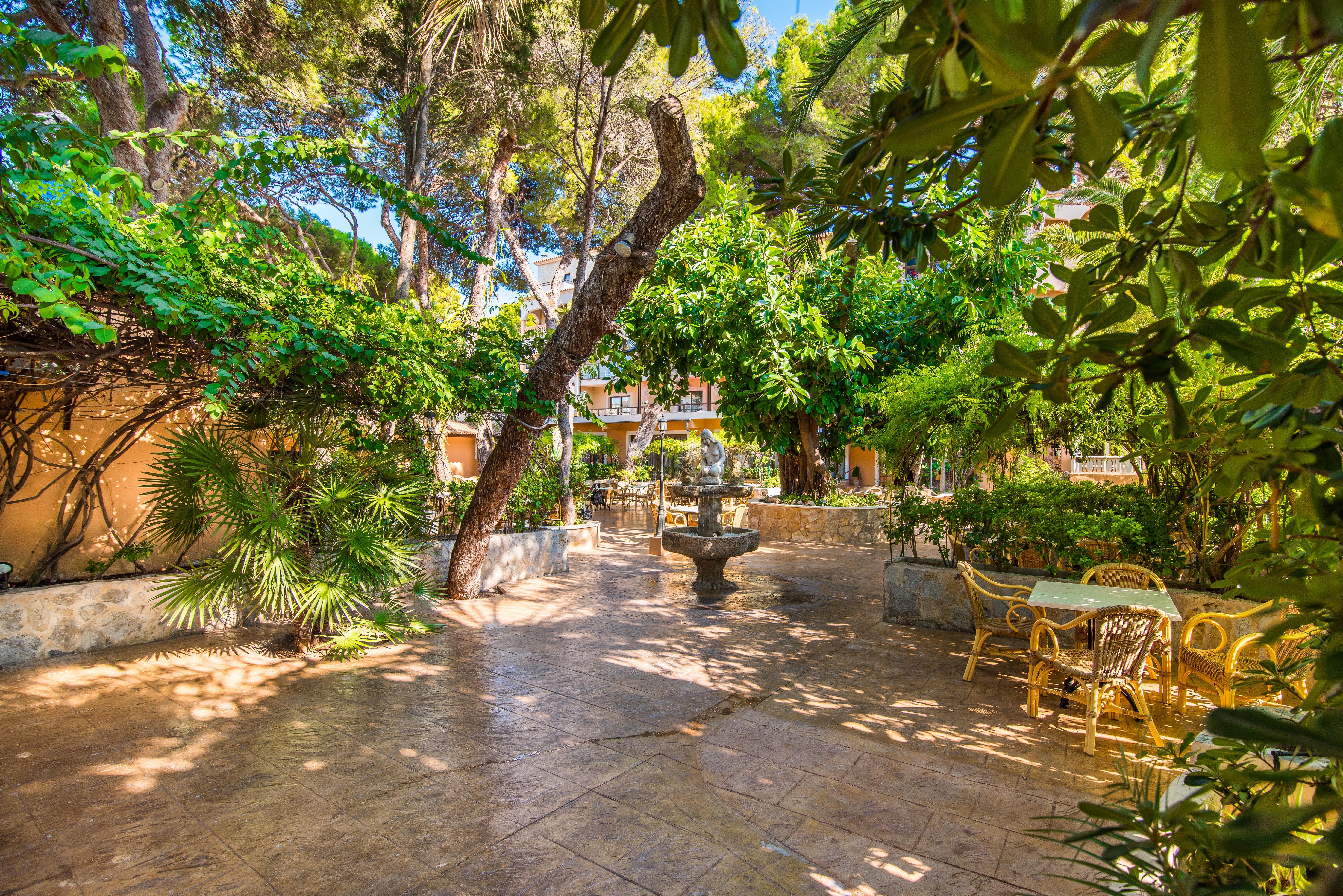 Hotel Baviera Cala Ratjada (Mallorca) Exterior foto